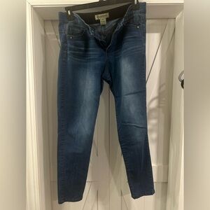 Democracy Dark Blue Skinny Jeans